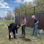 Уәлиханов ауданының Кішкенекөл ауылында 500 көшет отырғызылды