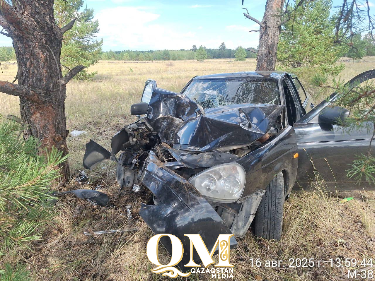 СҚО-да жол апаты көбейген: прокуратура жауапты органдарға шұғыл шара қабылдауды тапсырды