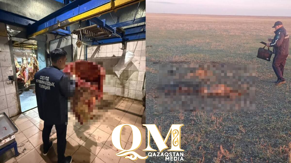 Уәлиханов ауданының тұрғыны еркін жайылымнан бес жастағы қара малының жоғалғаны туралы полицияға жүгінді.