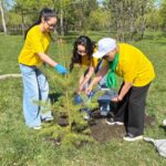 СҚО-да педагогтер мен оқушылар жаппай ағаш отырғызды