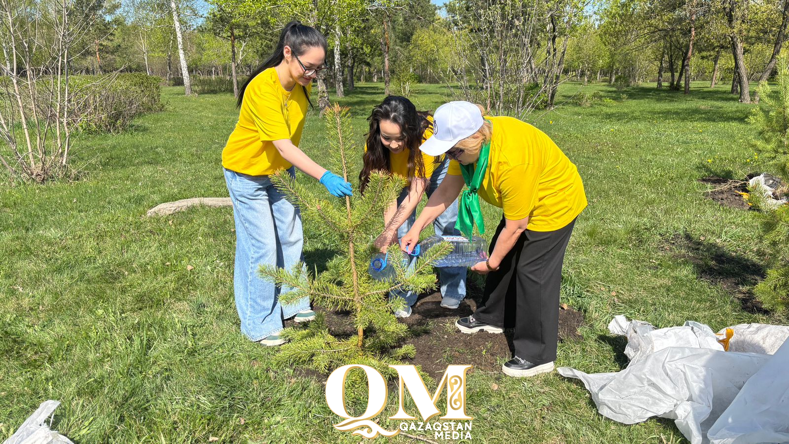 СҚО-да педагогтер мен оқушылар жаппай ағаш отырғызды
