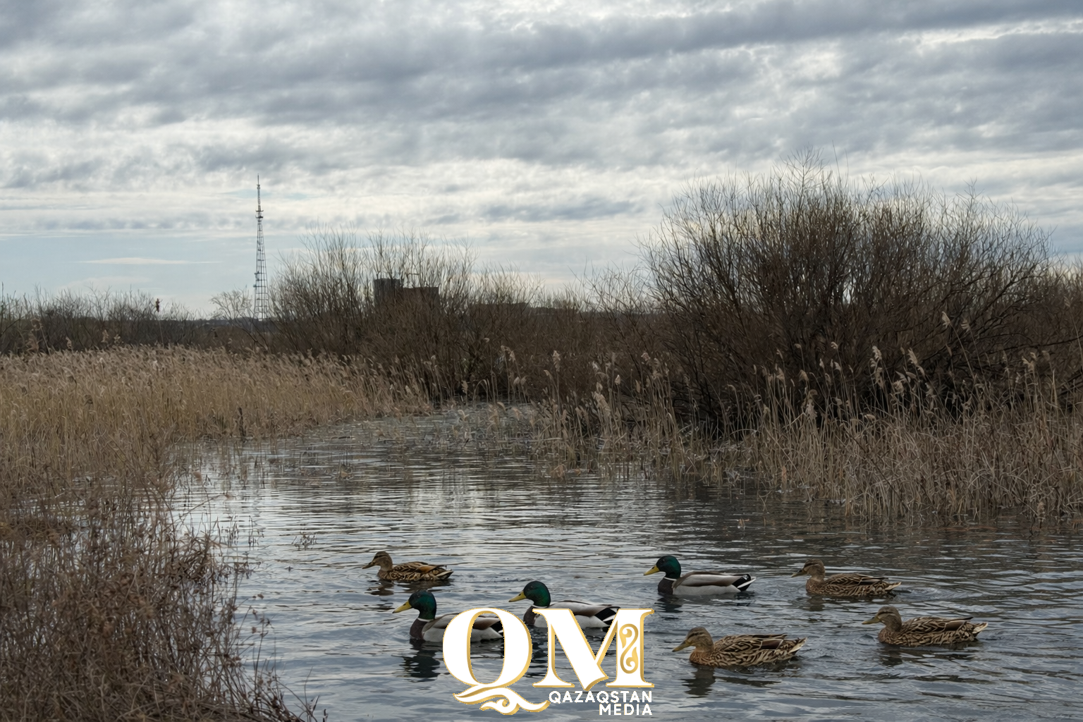 Доставайте ружья. В СКО открывается весенняя охота