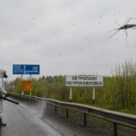 Комаров — под контроль. В Петропавловске начали обработку, сколько это стоит