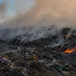 СҚО-да қоқыс алаңындағы өрт үшін ауылдық әкімдікке айыппұл салынды