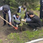 СҚО-да мектеп бітіруші түлектер ағаш отырғызды