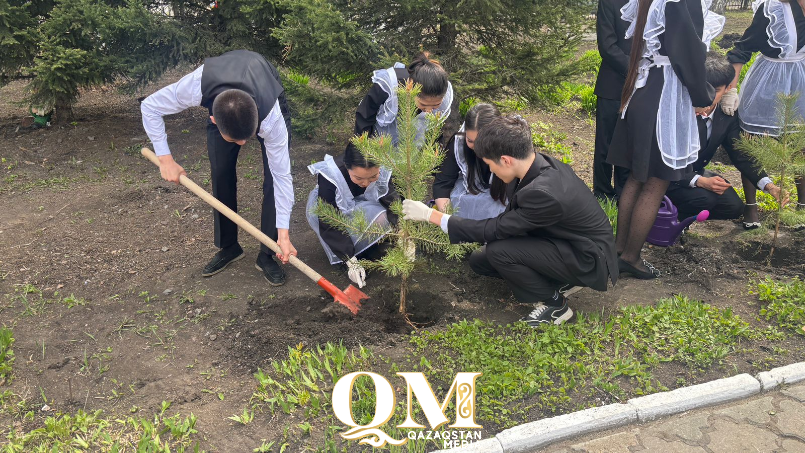 СҚО-да мектеп бітіруші түлектер ағаш отырғызды