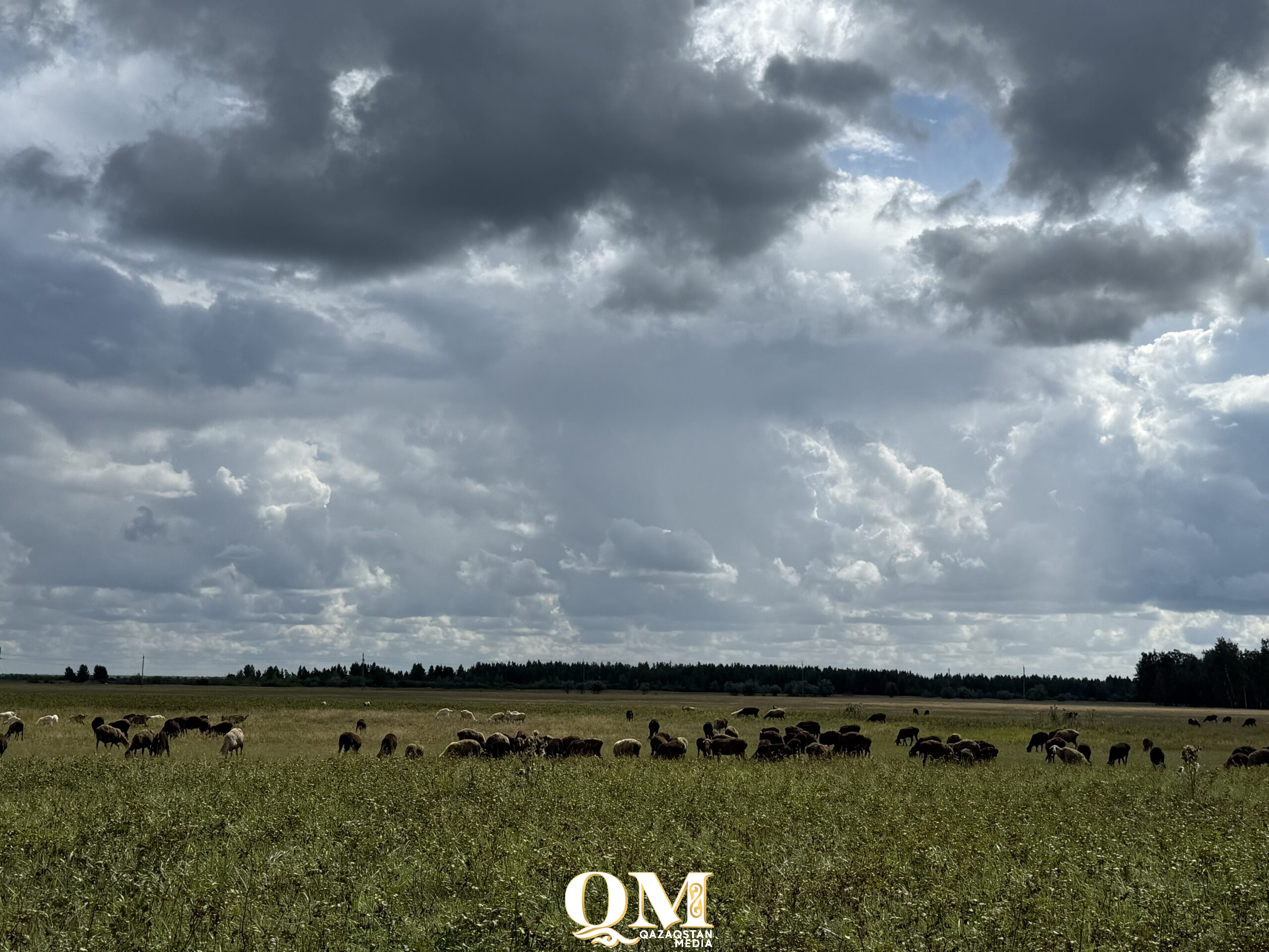 СҚО-да 73 мың гектар жер мемлекетке қайтарылды