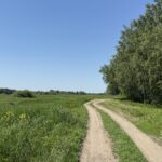 На 1–2 градуса теплее прогнозируют лето в СКО