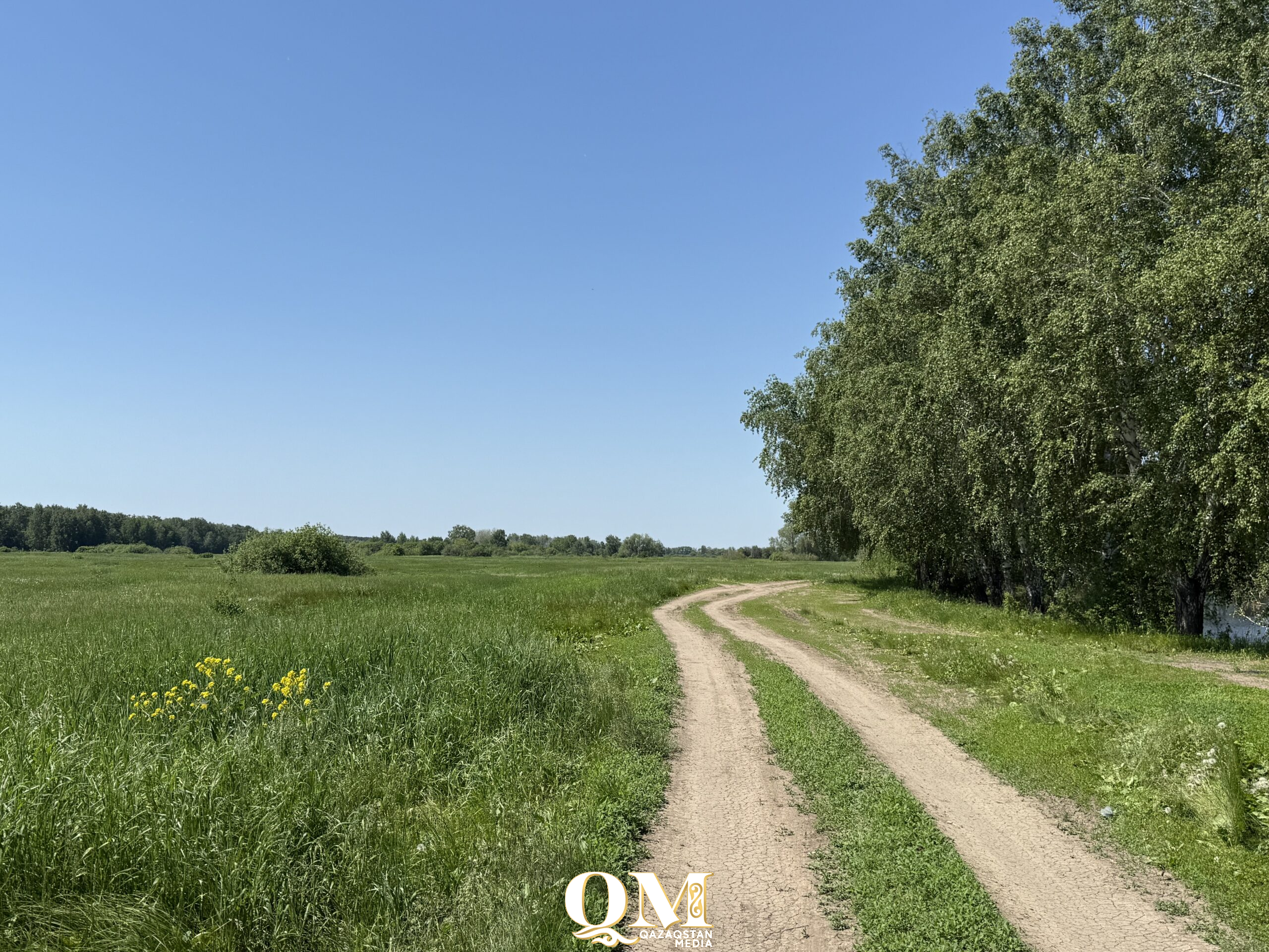 На 1–2 градуса теплее прогнозируют лето в СКО