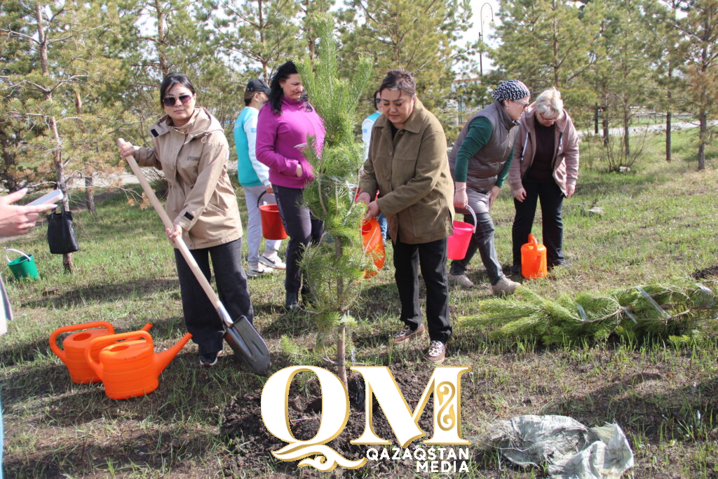 Тысячи деревьев за день: как в Тайыншинском районе улучшают экологию