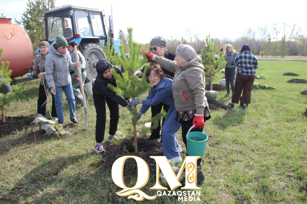 Тысячи деревьев за день: как в Тайыншинском районе улучшают экологию
