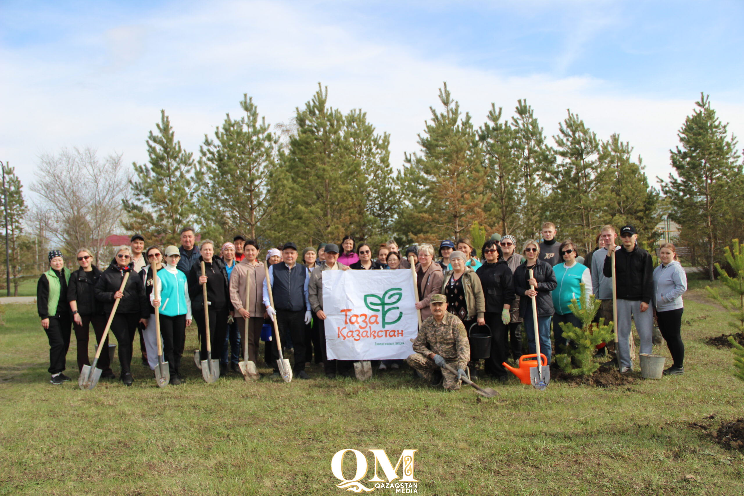 Тысячи деревьев за день: как в Тайыншинском районе улучшают экологию