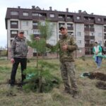 Зеленый рывок: более 3 тысяч саженцев высадили в Кызылжарском районе СКО