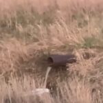 Сын погибшего коммунальщика из СКО обвинил предприятие в экокатастрофе