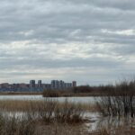 Пропавшего мужчину нашли повешенным в Речпорту Петропавловска