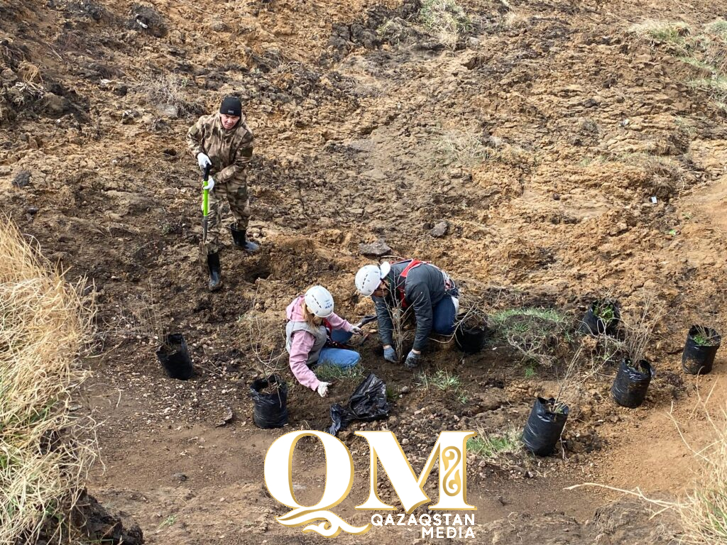 Не ради лайков: почему известный экоблогер помогает спасать берег Ишима в Петропавловске