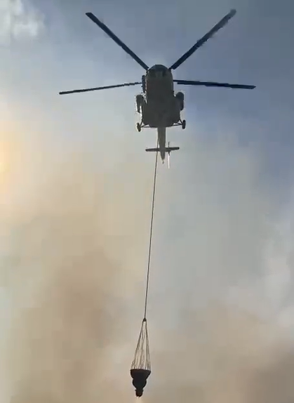 СҚО-да құрғақ шөп пен бұта жанып жатыр