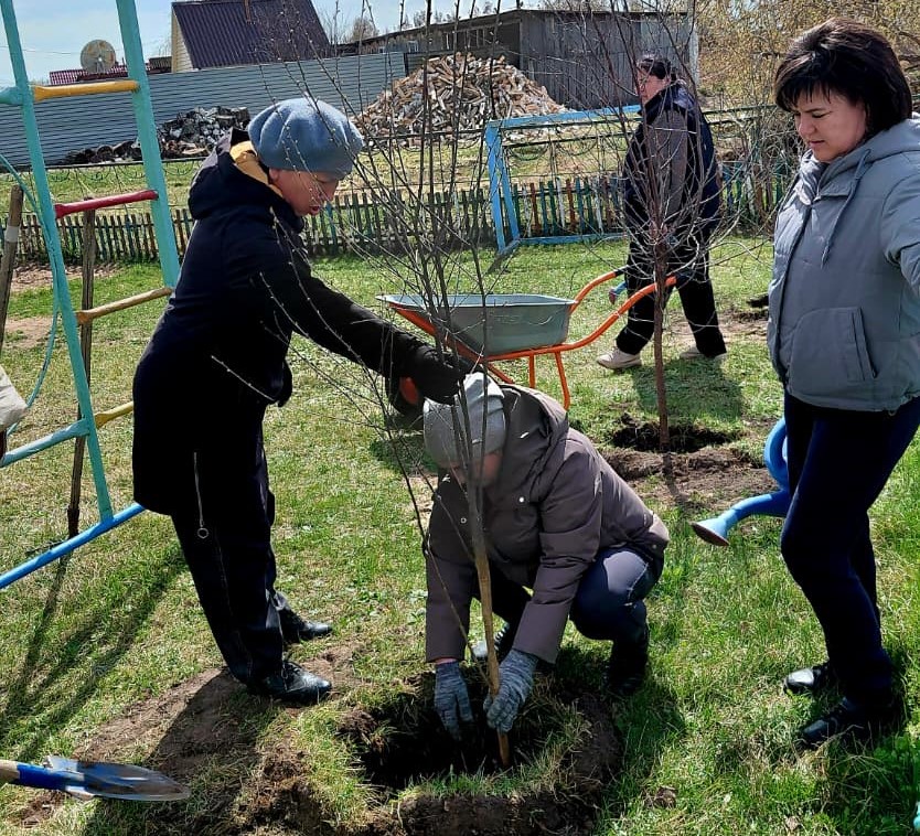 Зеленый рывок: более 3 тысяч саженцев высадили в Кызылжарском районе СКО
