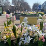 Рекордная температура была в марте в СКО