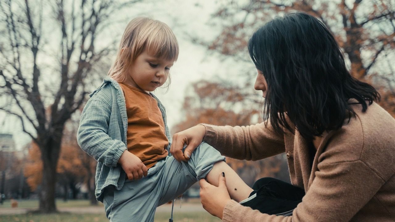 С клещами на одежде и укусами возвращаются с прогулок жители Северного Казахстана