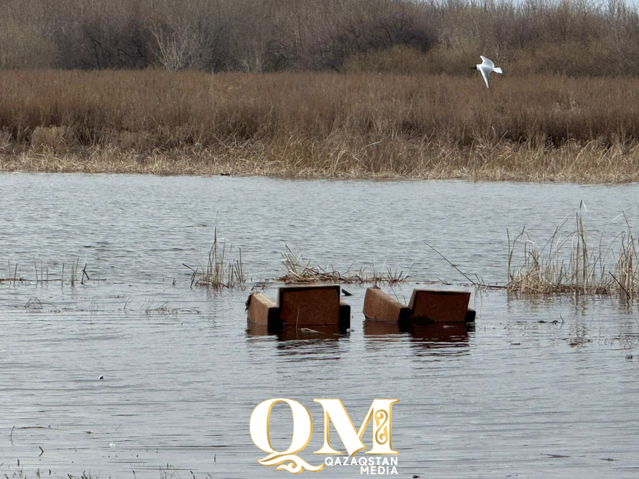 Ишим растет по 30 см в сутки: дачников не пускают в зоны подтопления в Петропавловске