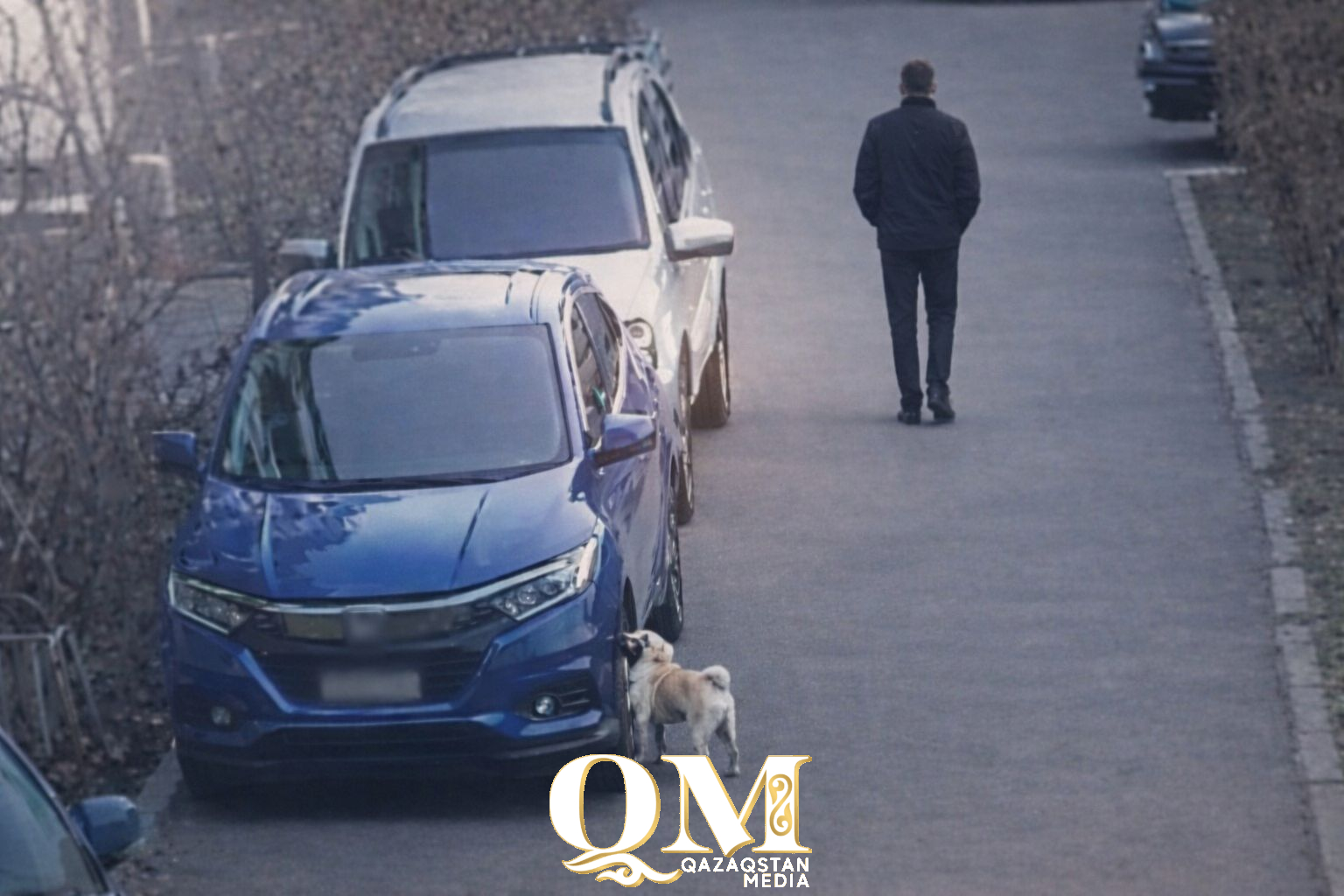 «Метка» на чужой машине обернулась штрафом для хозяина собаки в Петропавловске