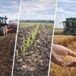 Почти 200 тысяч гектаров засеют весной в Кызылжарском районе СКО