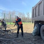 Сельчане возвращают к жизни березовую рощу в центре Бесколя Кызылжарского района СКО