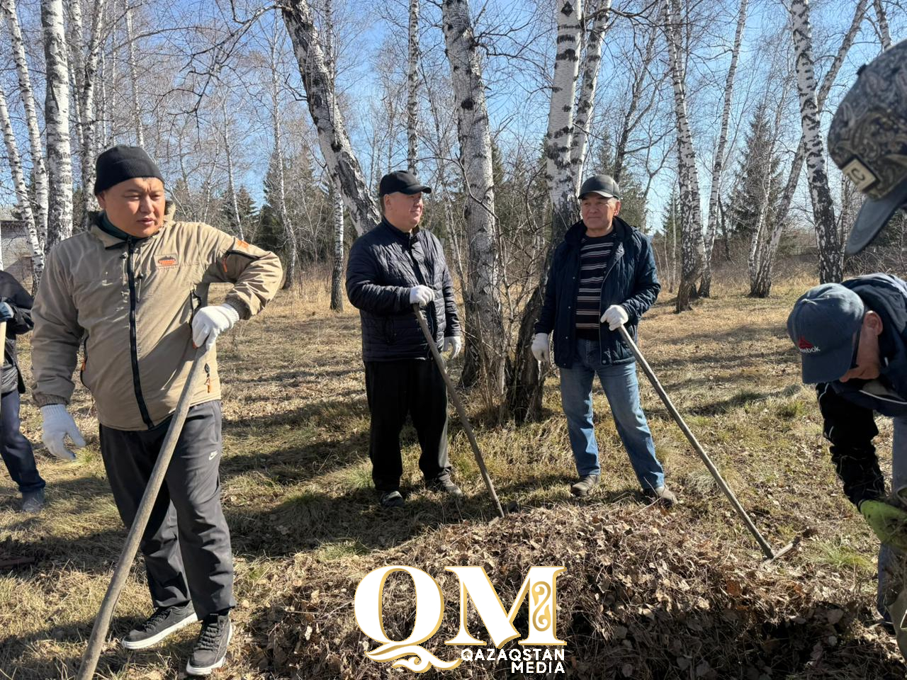 Сельчане возвращают к жизни березовую рощу в центре Бесколя Кызылжарского района СКО