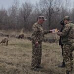 За нарушение правил сжигания сухой травы наказали жительницу Есильского района СКО