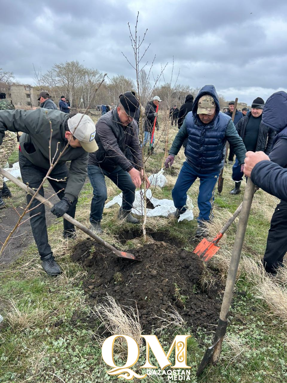 Жамбыл ауданында 100 ағаш пен 1000 көшет отырғызылды