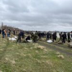 Жамбыл ауданында 100 ағаш пен 1000 көшет отырғызылды