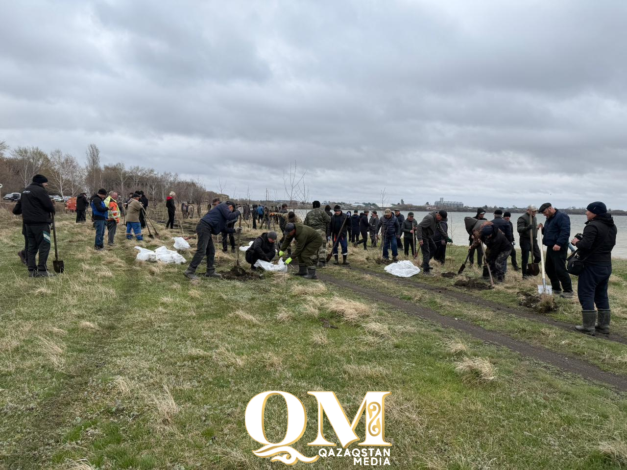 Жамбыл ауданында 100 ағаш пен 1000 көшет отырғызылды