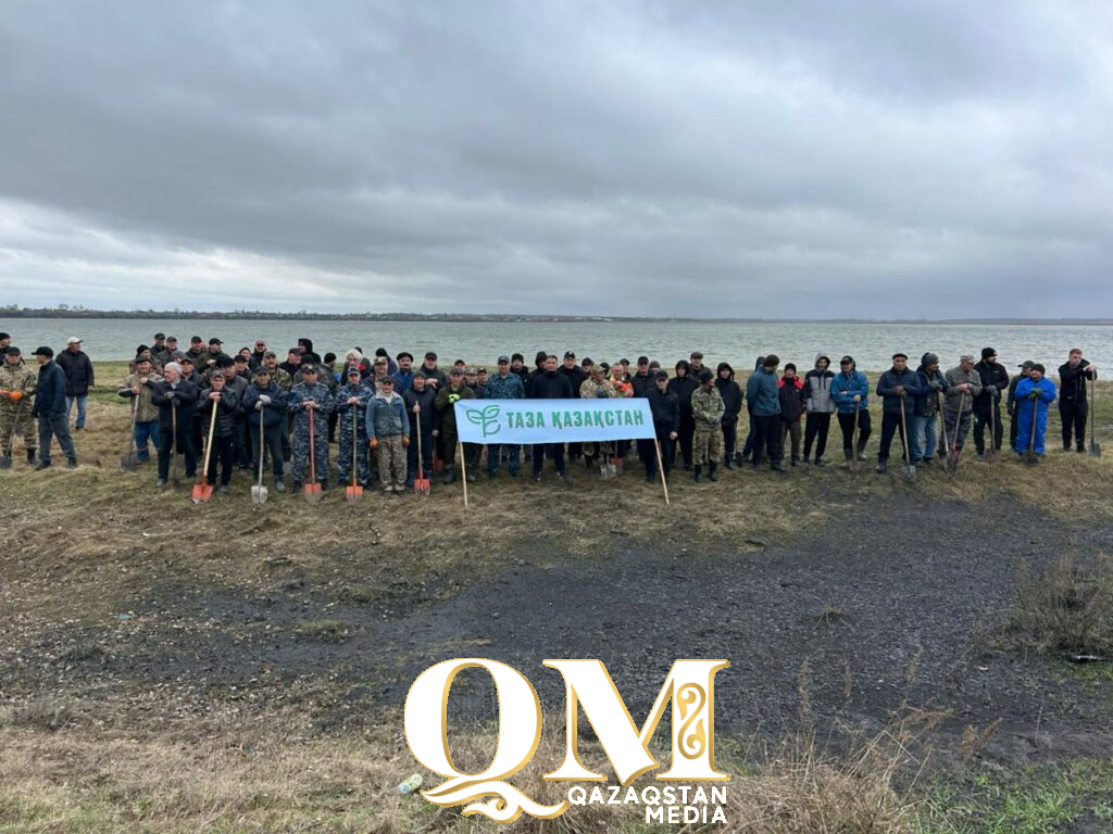 Более тысячи молодых деревьев высадили в Жамбылском районе СКО