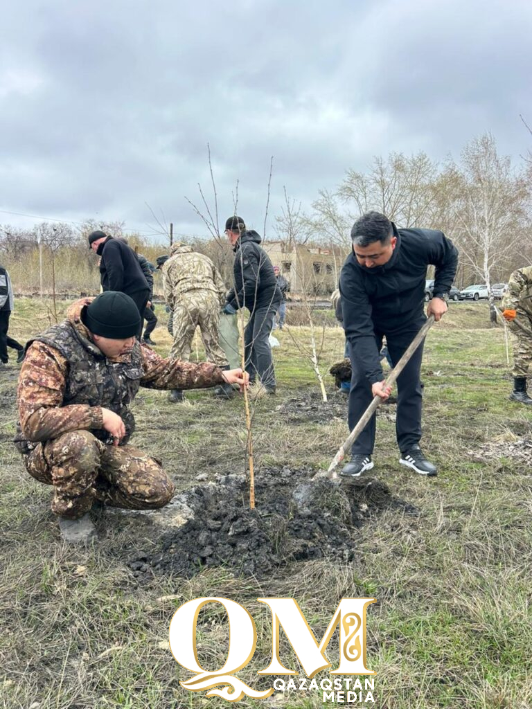 Более тысячи молодых деревьев высадили в Жамбылском районе СКО