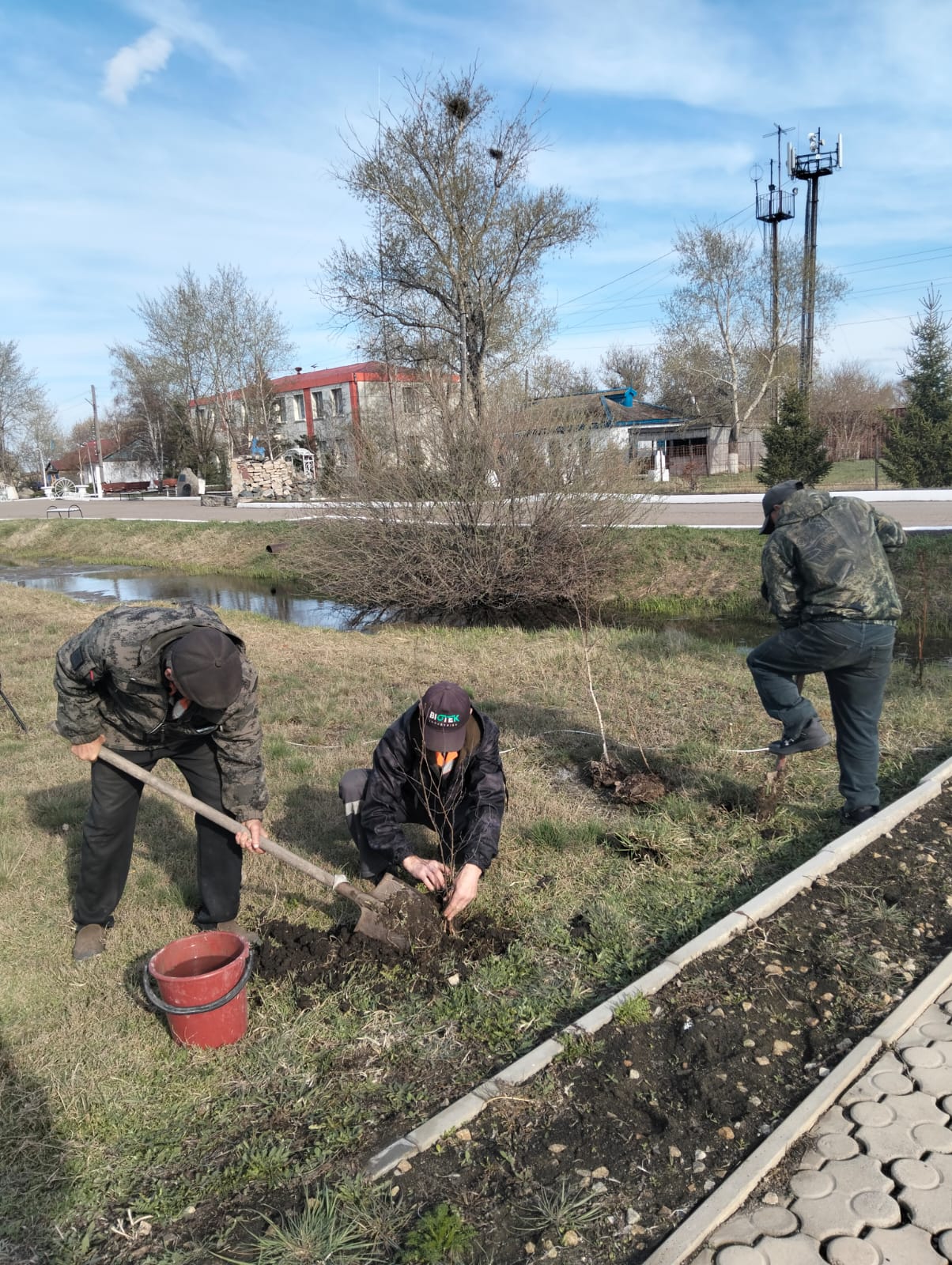 «Таза Қазақстан»: Тайынша ауданында бір күнде мың жарым ағаш отырғызылды 
