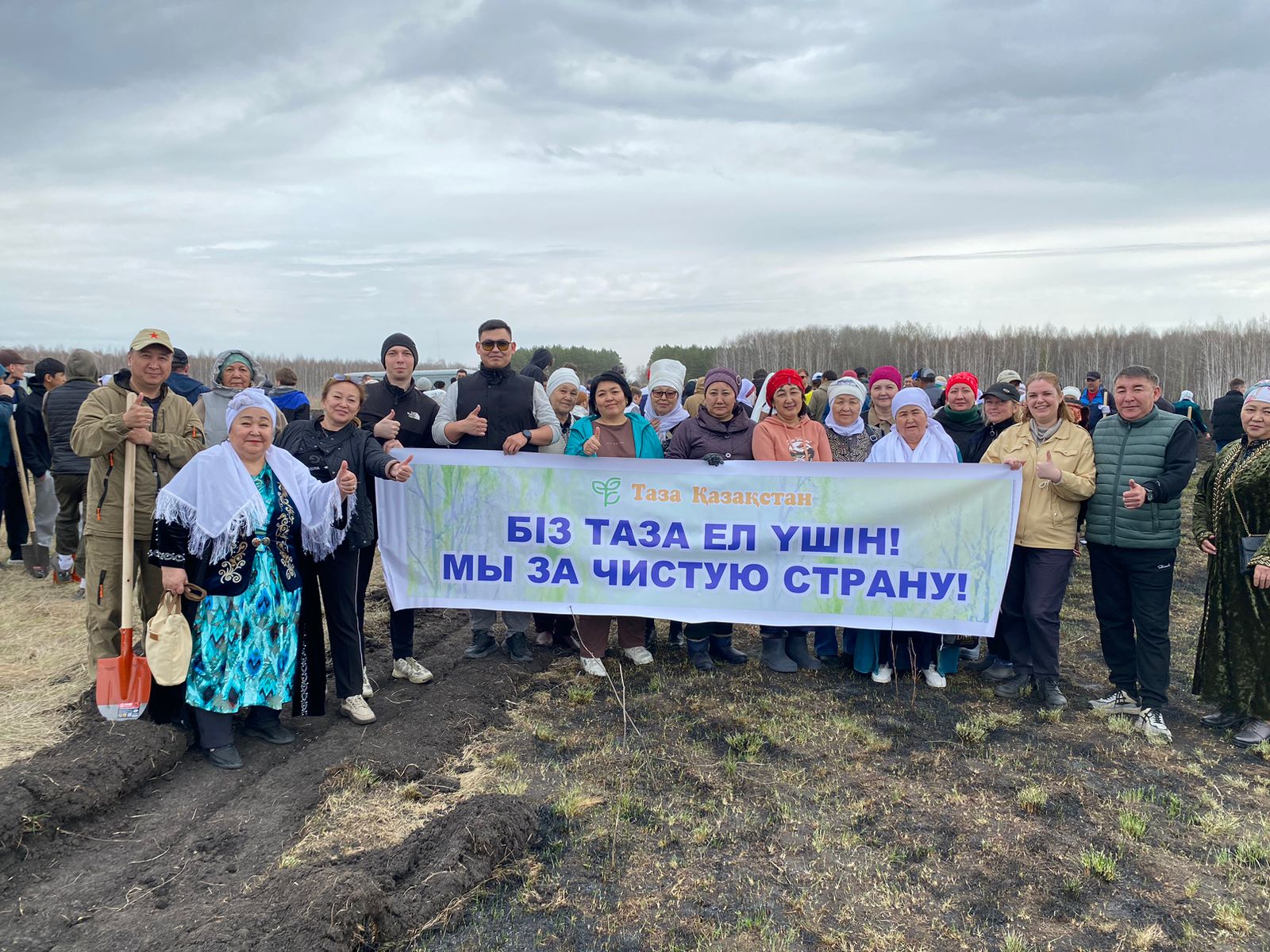 Қызылжар ауданындағы Сосновка ауылында 25 мың қарағай көшеті отырғызылуда