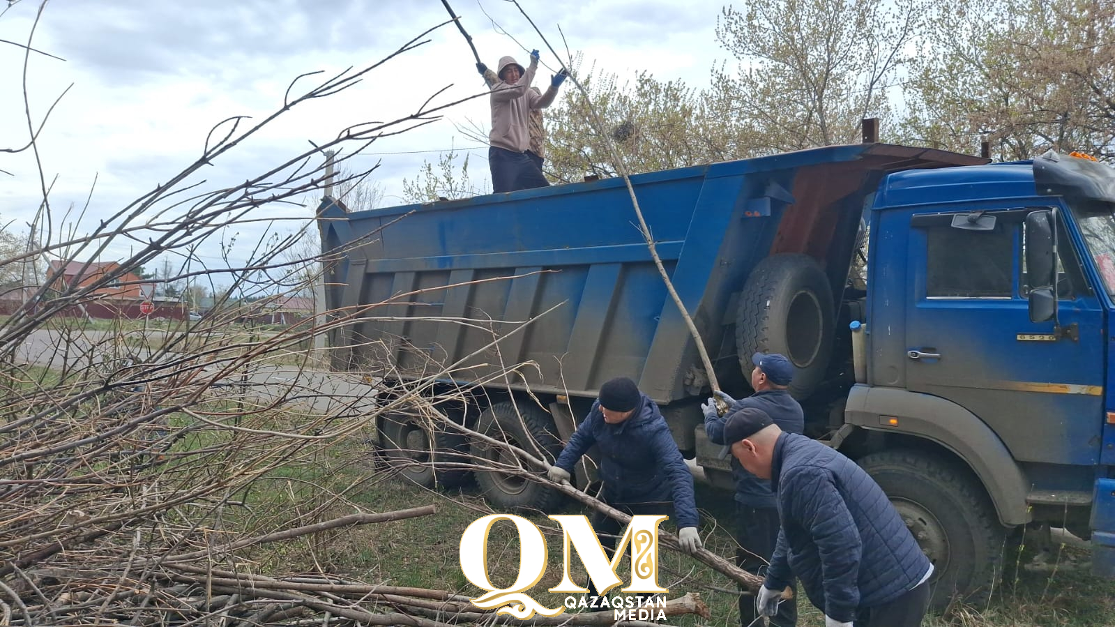 Қызылжар ауданында «Таза Қазақстан» акциясы аясында 3 мыңнан астам көшет отырғызылды