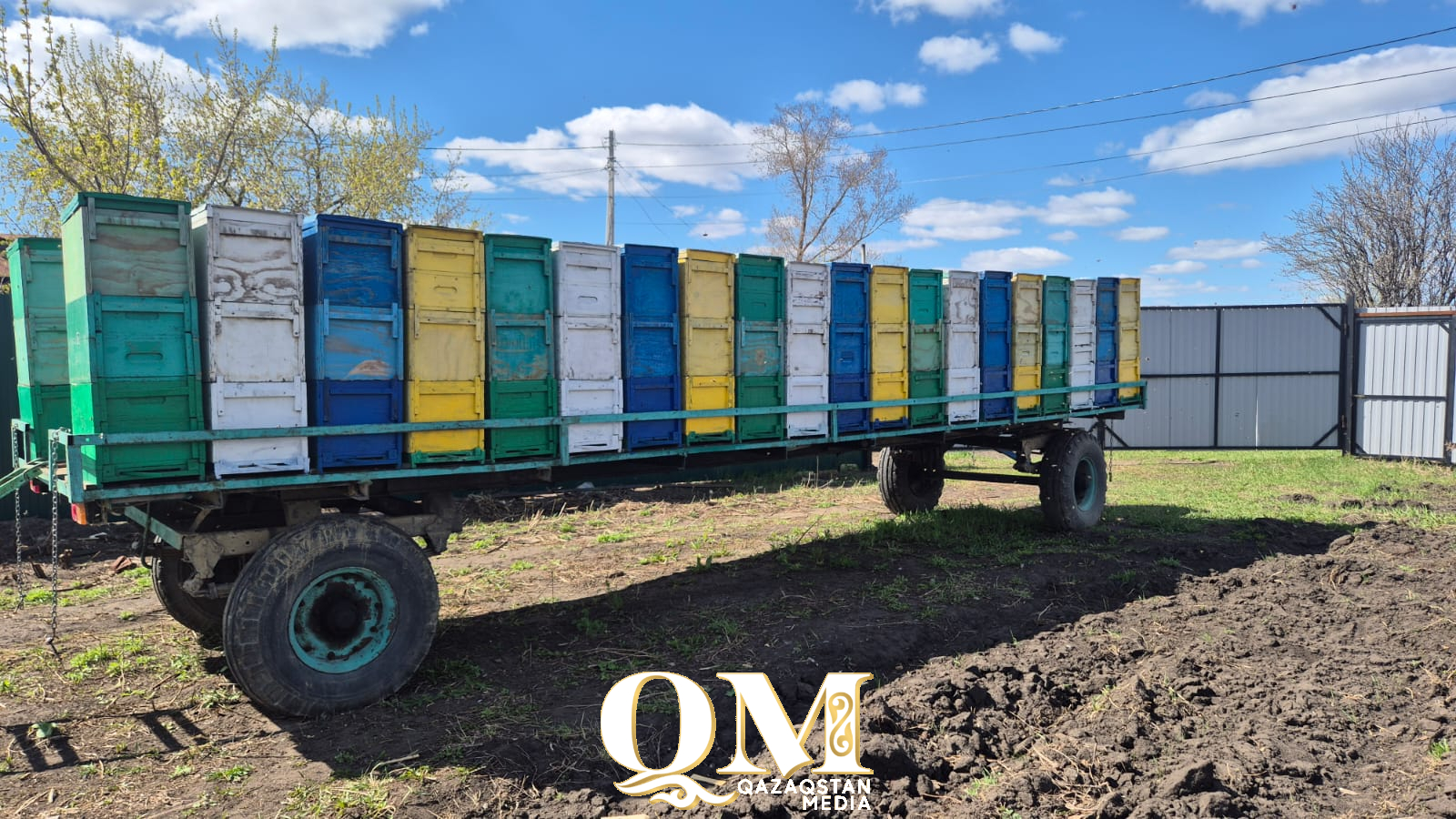 Североказахстанские пчеловоды восстанавливают пасеки после массовой гибели насекомых