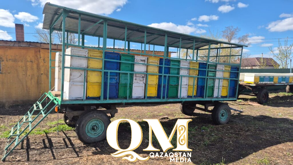 Североказахстанские пчеловоды восстанавливают пасеки после массовой гибели насекомых