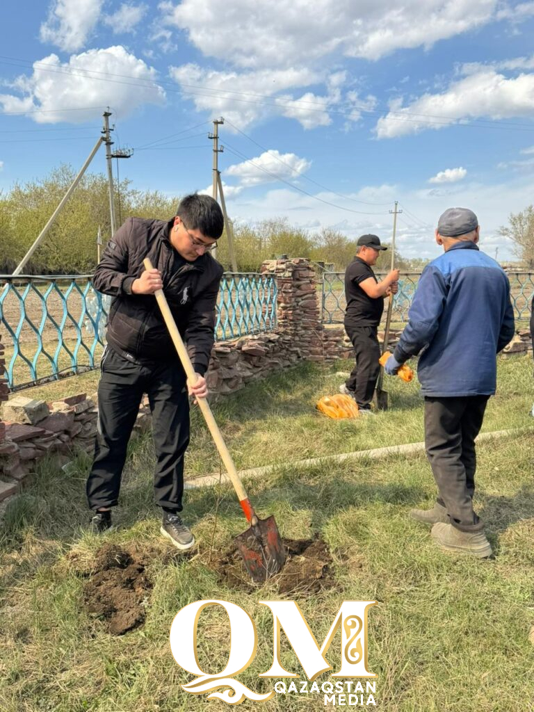 Будущее в тени берез: 500 саженцев высадили в селе Кишкенеколь Уалихановского района СКО