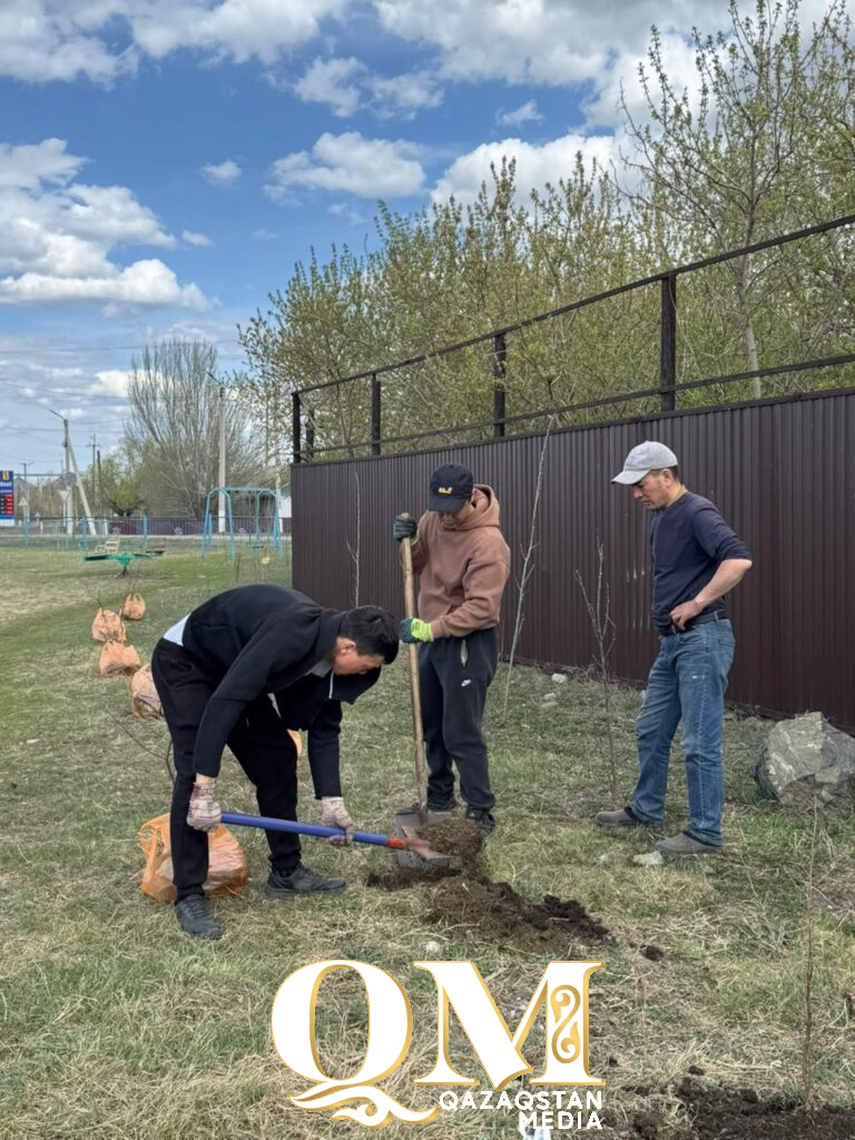 Будущее в тени берез: 500 саженцев высадили в селе Кишкенеколь Уалихановского района СКО