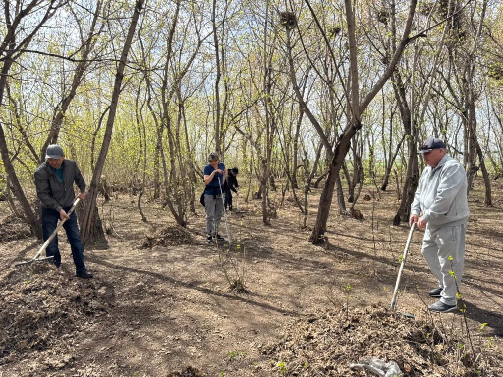 Масштабный субботник прошел в селе Кишкенеколь Уалихановского района СКО