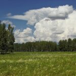 СҚО-да омарташылар мен саңырауқұлақ терушілерге ескерту жасалды