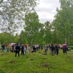 СҚО-да Халықаралық отбасы күніне орай үш мыңнан астам көшет отырғызылды