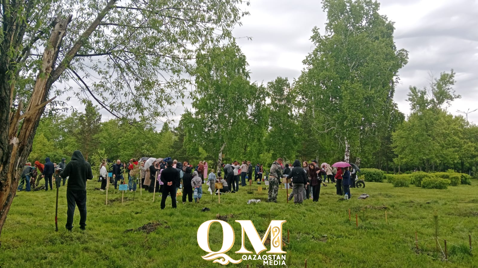 СҚО-да Халықаралық отбасы күніне орай үш мыңнан астам көшет отырғызылды