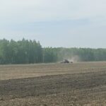 Қызылжар ауданының диқандары 45 мың гектар алқапқа дән сіңіріп үлгерді