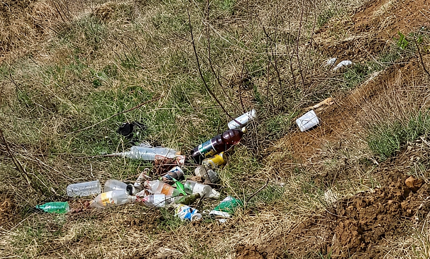 Спасать берег Ишима приглашают жителей Петропавловска
