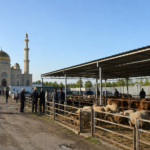 Площадку для жертвоприношения на Курбан айт определили в Петропавловске