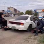 СҚО-да 23 бас малды қолды қылған топ құрықталды